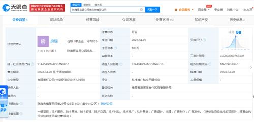 軟件信息技術咨詢服務 驅動數字化轉型的關鍵引擎